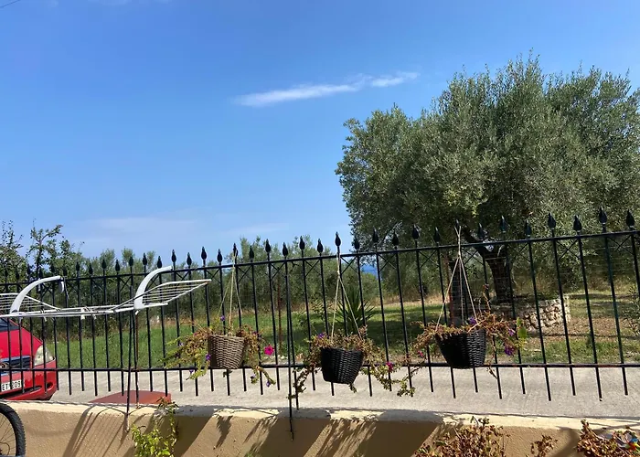 Theodoras Place Hébergement de vacances Kriopigi